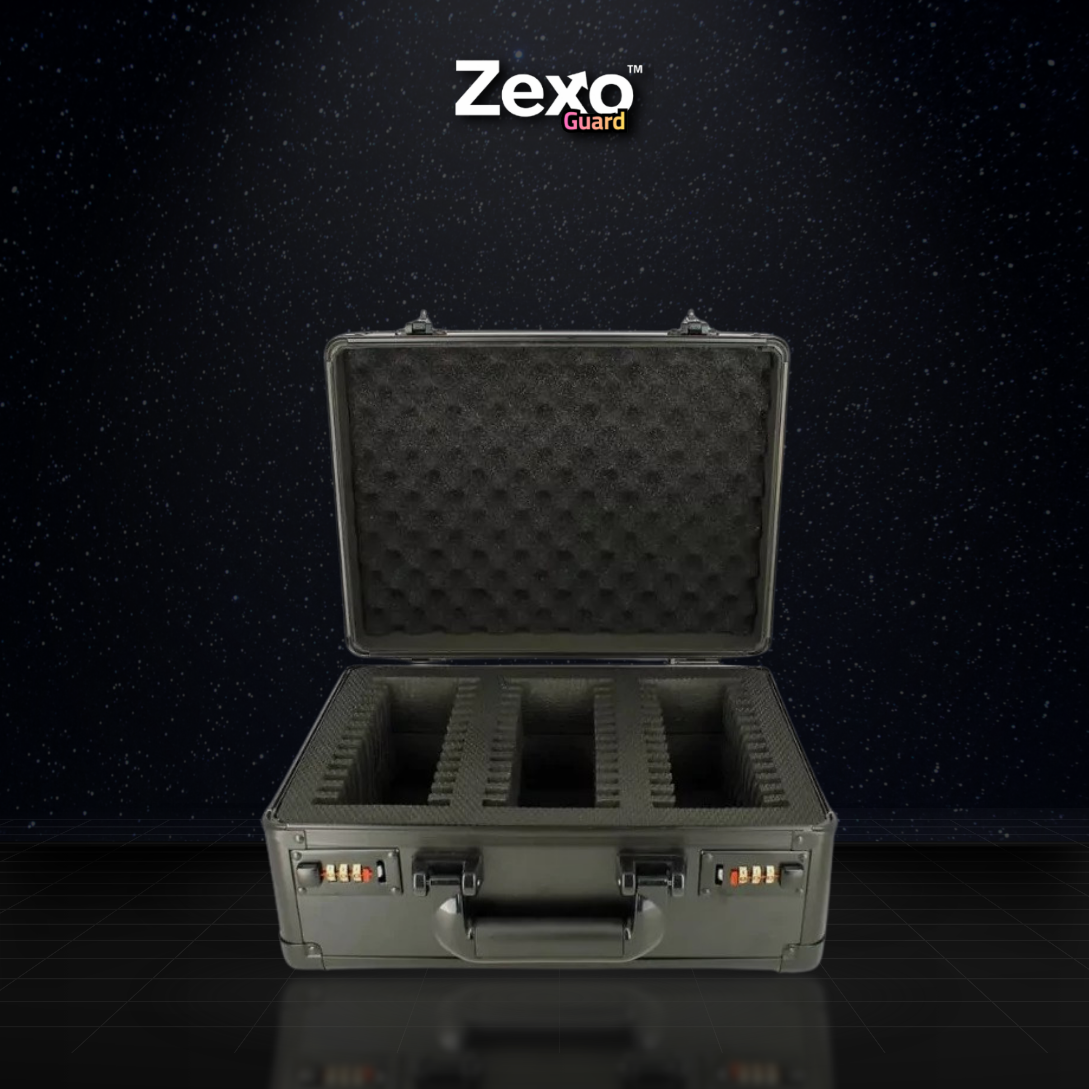 Valise de Rangement Phoenix Shield